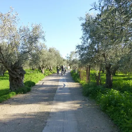 Cosy And Quiet * Agios Andreas (Arcadia)